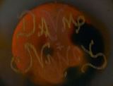 Incised Signature